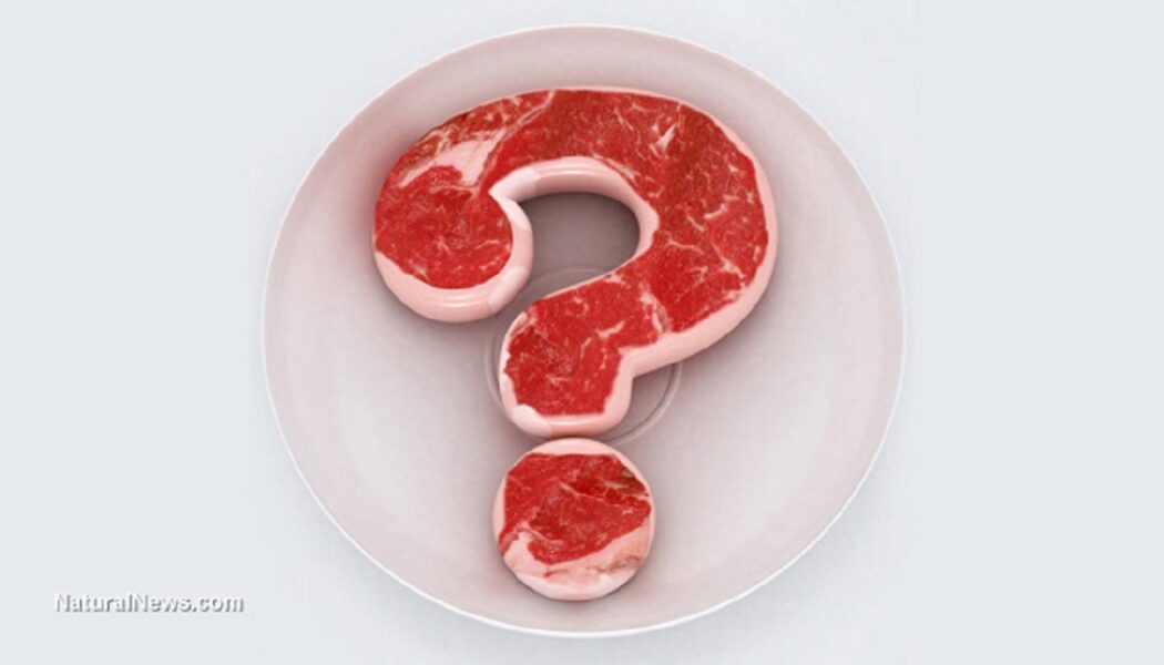 Im Labor gezüchtetes, mit GVO beladenes gefälschtes „Fleisch“ ist ein giftiger Greuel, den es um jeden Preis zu vermeiden gilt