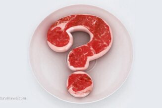 Im Labor gezüchtetes, mit GVO beladenes gefälschtes „Fleisch“ ist ein giftiger Greuel, den es um jeden Preis zu vermeiden gilt