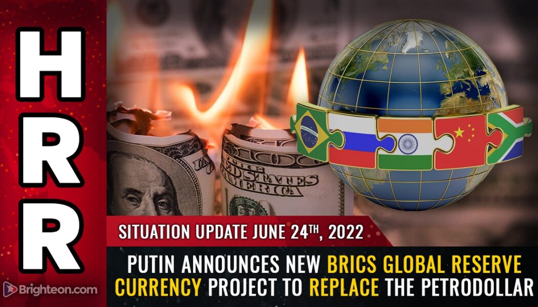 WIE AMERIKA ENDET: Putin kündigt ein neues BRICS-Reservewährungsprojekt an, um den Petrodollar zu ERSETZEN