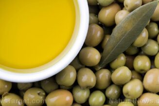 Es wurde festgestellt, dass der regelmäßige Verzehr von Olivenöl das Sterblichkeitsrisiko verringert
