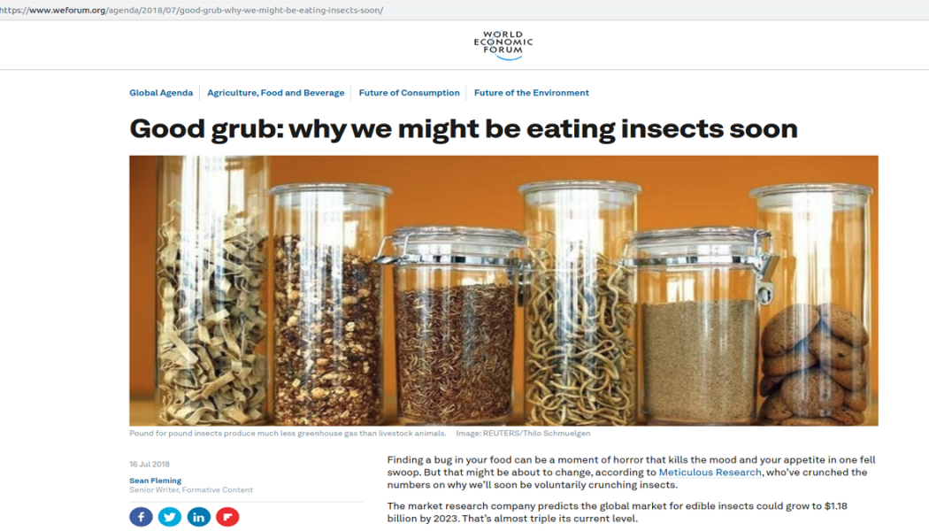 Sie wollen wirklich, dass Sie Käfer essen: Cricket-Produktionssubventionen aus Ottawa