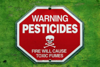 Pestizide: Liste der am stärksten belasteten Obst- und Gemüsesorten
