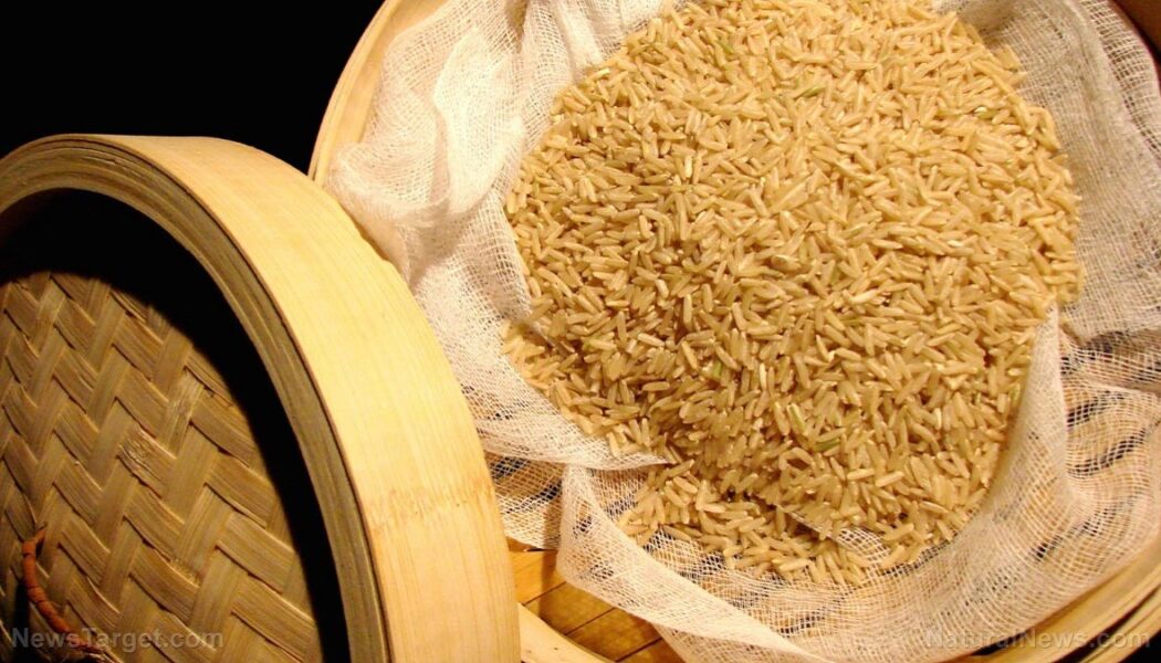 Bio-Naturreis: Eine der gesündesten und nahrhaftesten Reissorten