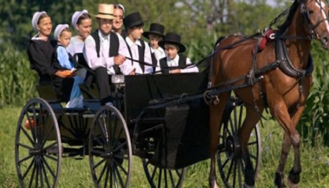 Warum bekommen die Amish keinen Krebs?