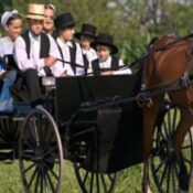 Warum bekommen die Amish keinen Krebs?