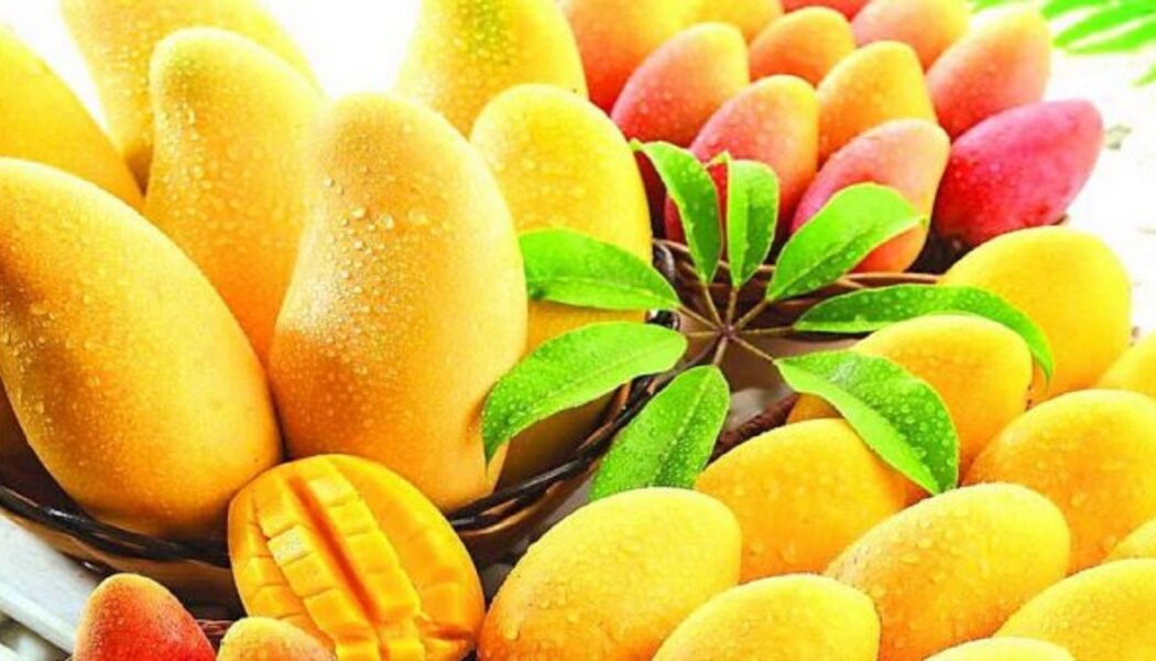 Der Verzehr von Mangos reinigt Ihren Körper von Krebszellen