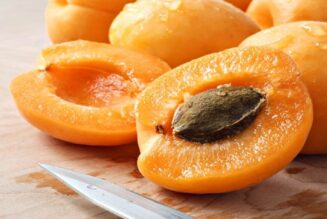 Was Ärzte Ihnen nie sagen werden: Aprikosenkerne töten Krebszellen ohne Nebenwirkungen