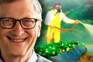 Der Lebensmittelkontaminationsplan von Bill Gates nimmt Fahrt auf