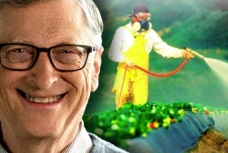 Bill Gates plant, der Menschheit eine Mikrodosis mit Krebsbelag auf ALLEN Obst- und Gemüsesorten zu verabreichen