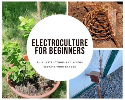 Verlorenes Wissen DIYElektrokulturVideos für Ihren Garten