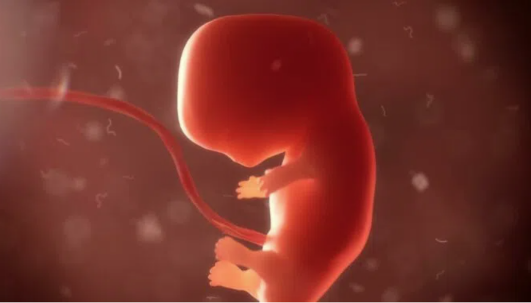 Mit dem WEF verbundene Wissenschaftler geben die Schaffung von im Labor gezüchteten menschlichen Embryonen ohne Eizellen oder Spermien bekannt