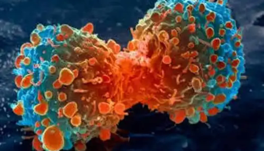 Chemotherapie Giftiges Gift für jede lebende Zelle im menschlichen Körper – tötet Krebs ab, ohne gesunde Zellen zu gefährden – Wermut ist eine wirksame Alternative zur Chemotherapie – und es ist 1000-fach…