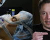 Elon Musk: Beatmungsgeräte haben weltweit MILLIONEN eingeschläfert, nicht COVID