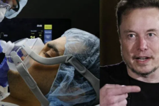Elon Musk: Beatmungsgeräte haben weltweit MILLIONEN eingeschläfert, nicht COVID